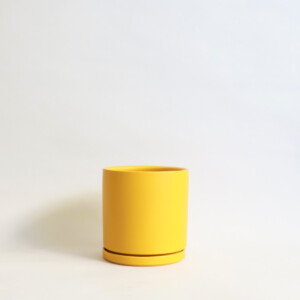 pot-gemstone-mustard